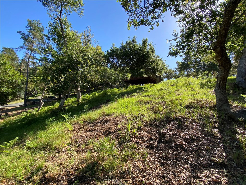 6450 Kathryn, Cambria, CA 93428