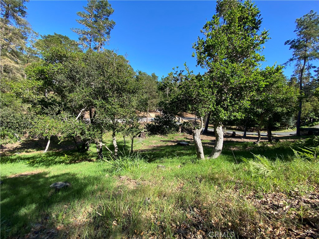 6450 Kathryn, Cambria, CA 93428