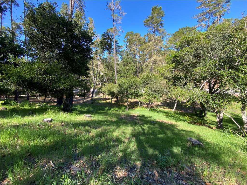6450 Kathryn, Cambria, CA 93428