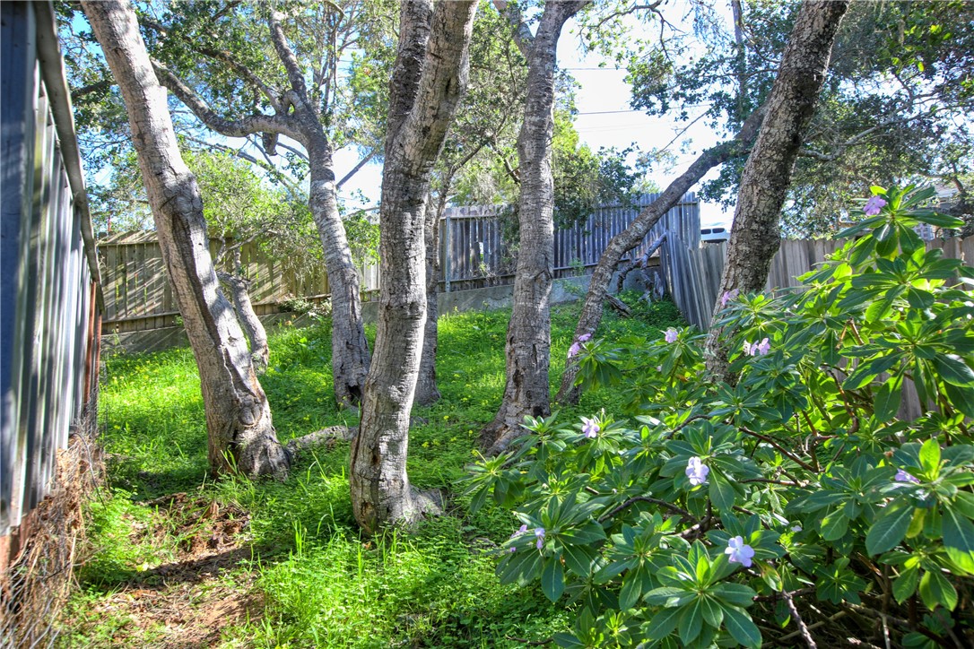 2100 Langton St, Cambria, CA 93428