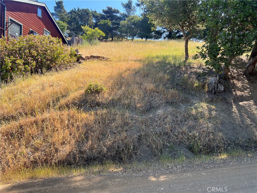 0 Pierce, Cambria, CA 93428