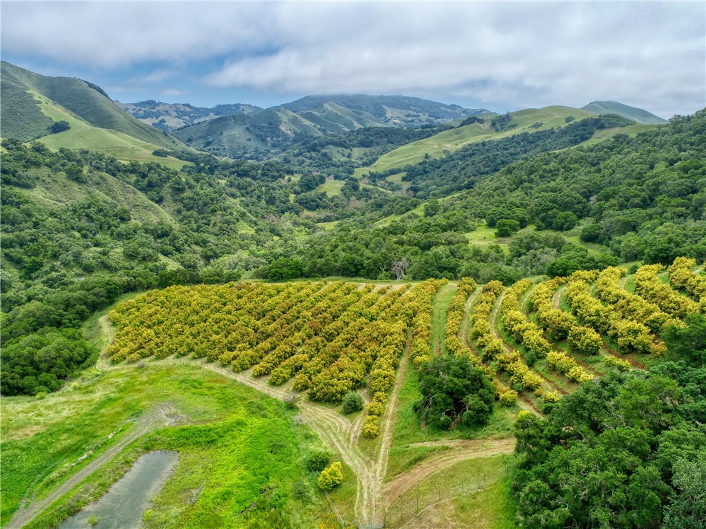 7515 Santa Rosa Creek Rd, Cambria, CA 93428