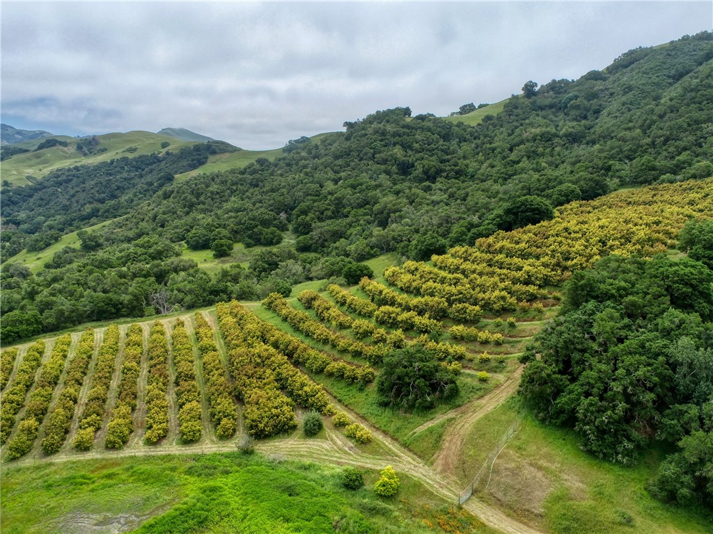 7515 Santa Rosa Creek Rd, Cambria, CA 93428