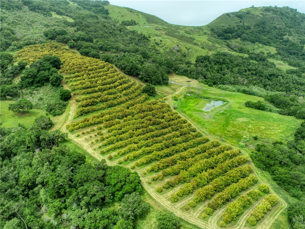 7515 Santa Rosa Creek Rd, Cambria, CA 93428