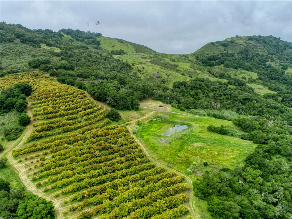 7515 Santa Rosa Creek Rd, Cambria, CA 93428