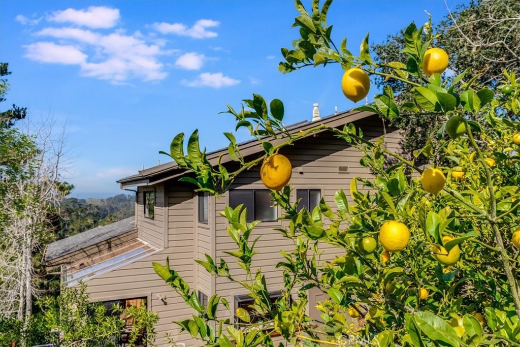 3171 Rogers Dr, Cambria, CA 93428