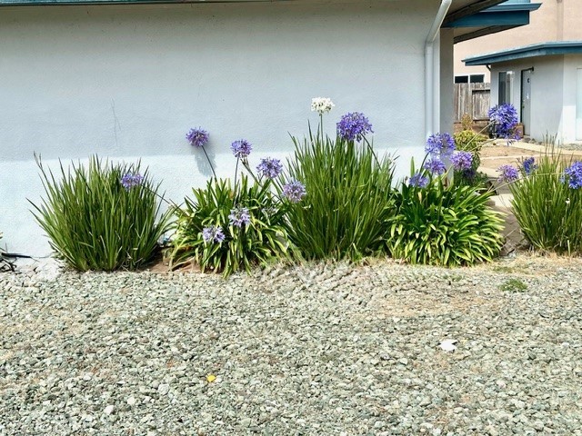 1957 10th, Los Osos, CA 93402