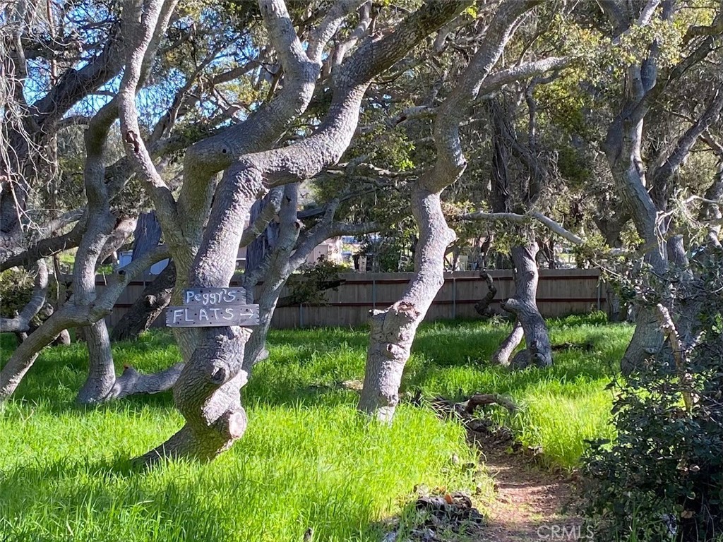 1595 Los Osos Valley Rd #42C, Los Osos, CA 93402