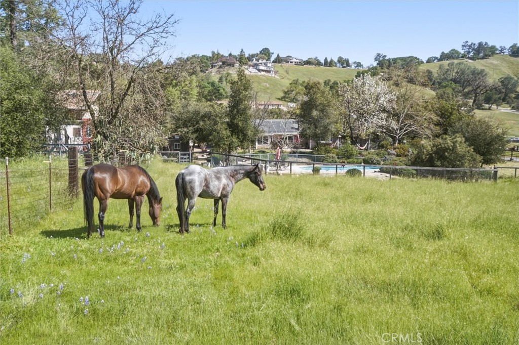 13730 El Camino Real, Atascadero, CA 93422