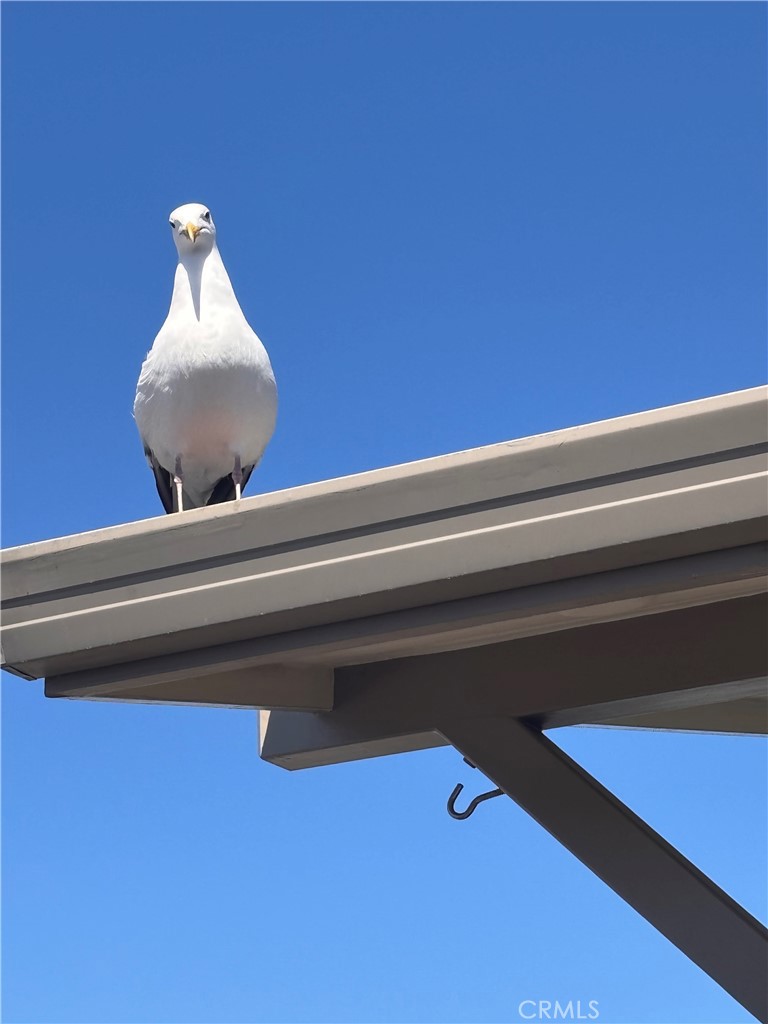 1154 Santa Ysabel, Los Osos, CA 93402