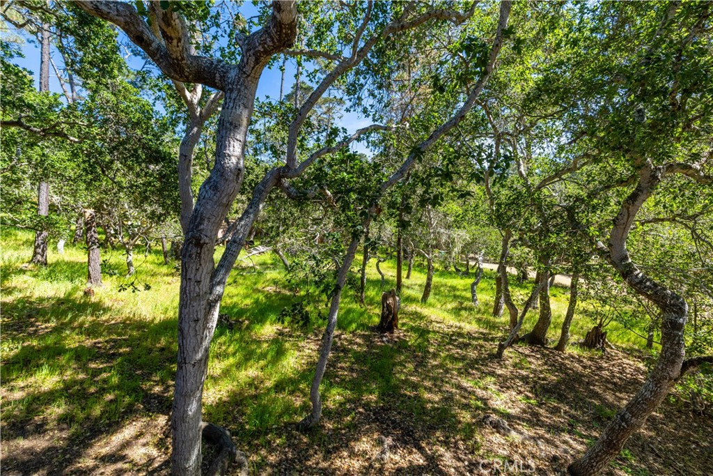 1840 Langton St, Cambria, CA 93428