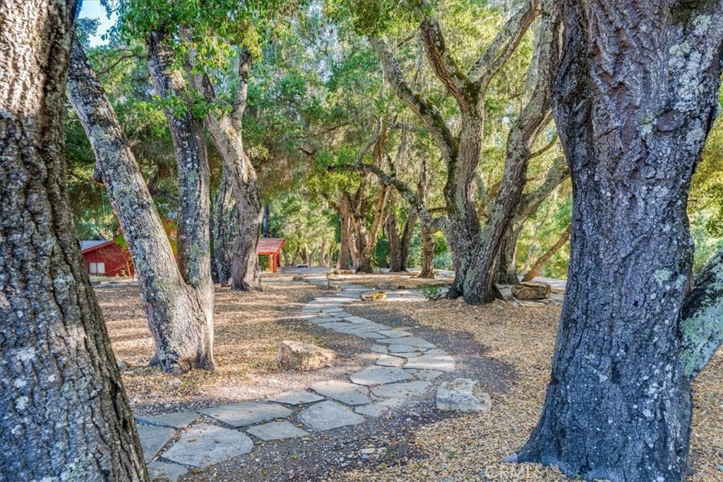 3210 Cloudy Meadow Rd, Templeton, CA 93465