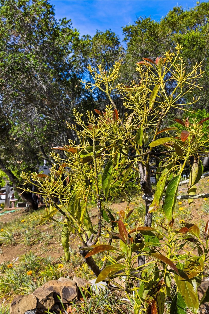 957 Skyline Dr, San Luis Obispo, CA 93405