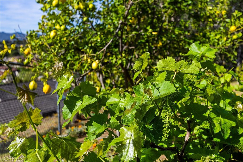 957 Skyline Dr, San Luis Obispo, CA 93405