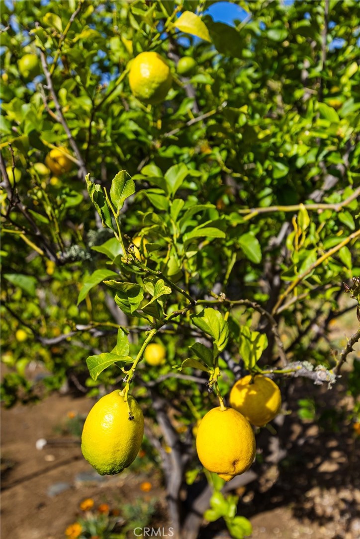 957 Skyline Dr, San Luis Obispo, CA 93405