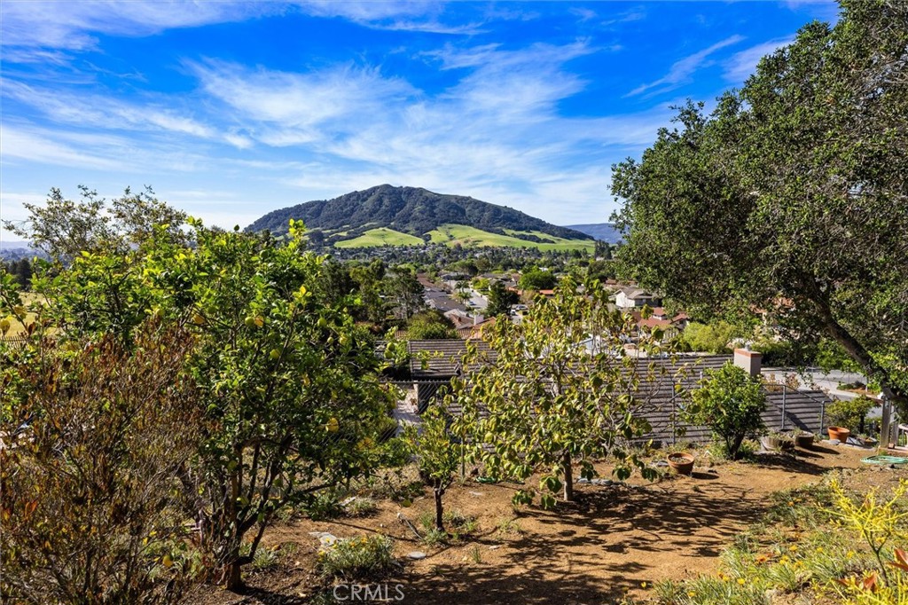 957 Skyline Dr, San Luis Obispo, CA 93405