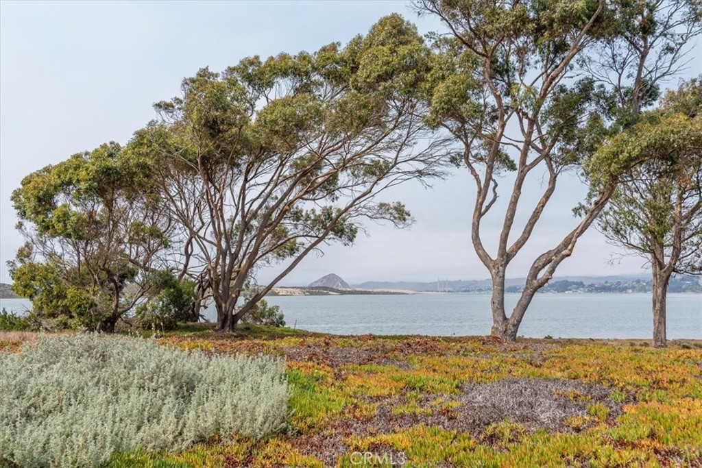 1924 Nevada Ct, Los Osos, CA 93402