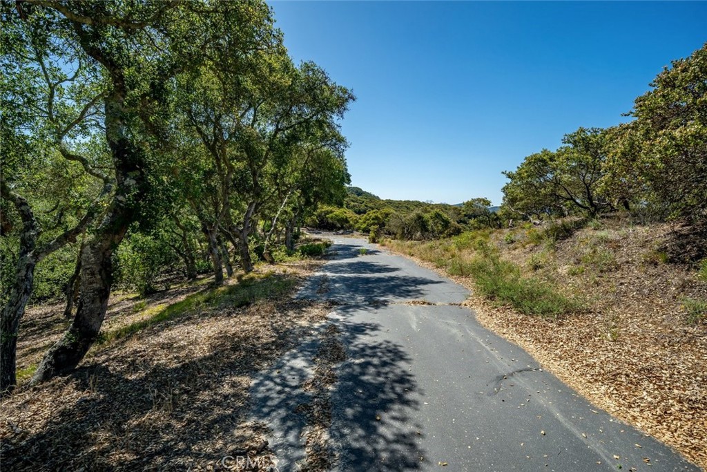 6175 Balm Ridge Way, San Luis Obispo, CA 93401