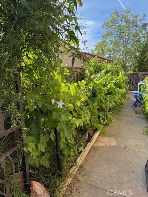 1389 Sawleaf Ct, San Luis Obispo, CA 93401