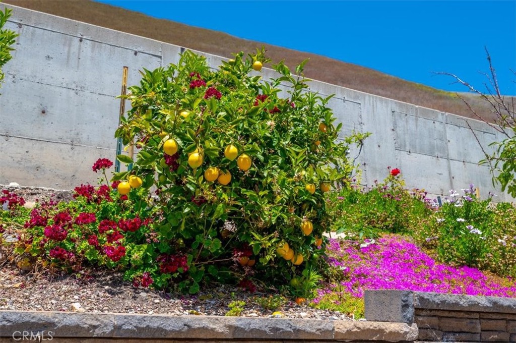 1309 Costa Brava, Pismo Beach, CA 93449