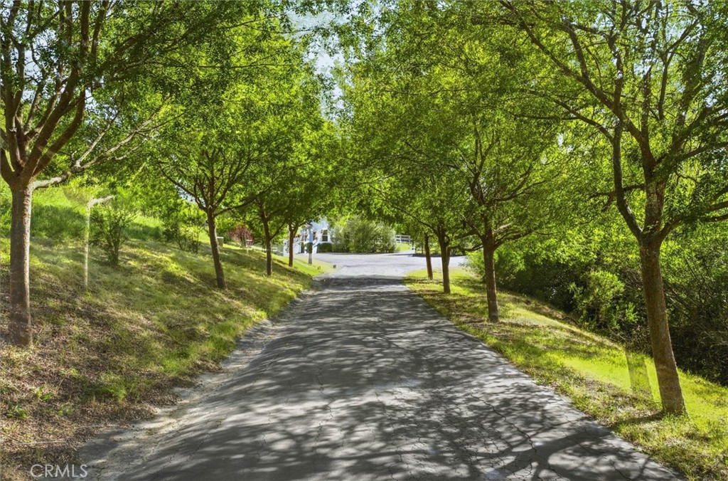 6725 Calle Stornetta, San Luis Obispo, CA 93401