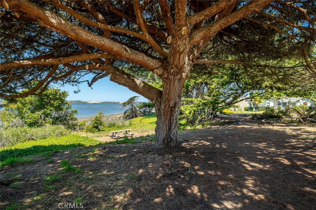 1408 3rd Street, Los Osos, CA 93402