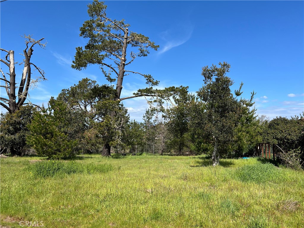 2540 Malvern St, Cambria, CA 93428