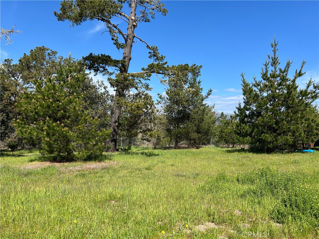 2540 Malvern St, Cambria, CA 93428