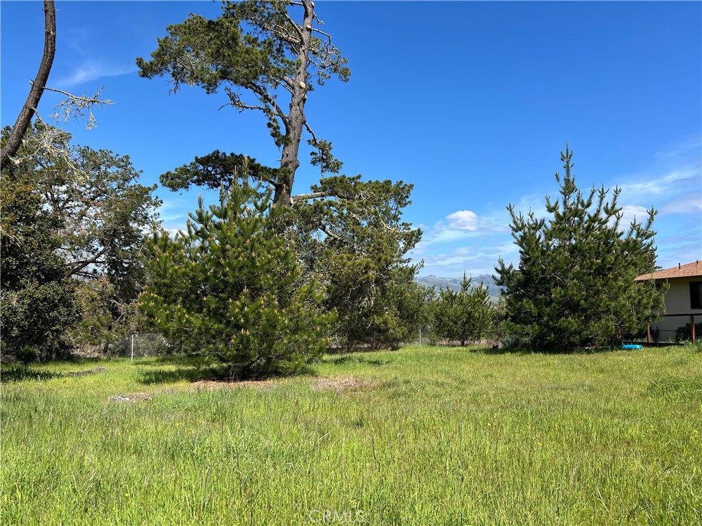 2540 Malvern St, Cambria, CA 93428
