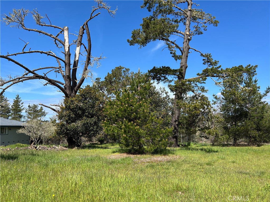 2540 Malvern St, Cambria, CA 93428