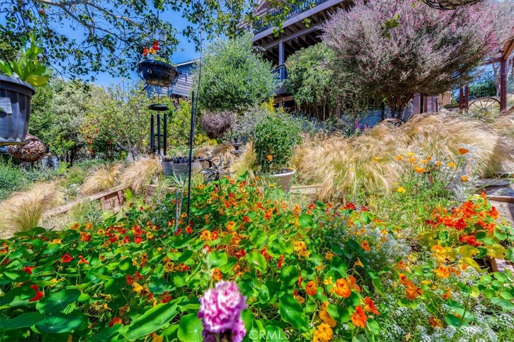 1919 Richard Ave, Cambria, CA 93428