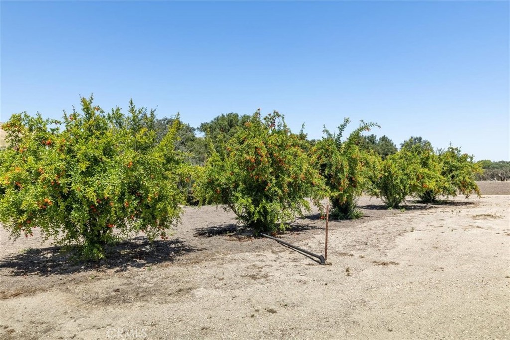 3110 Nacimiento Lake Dr, Paso Robles, CA 93446