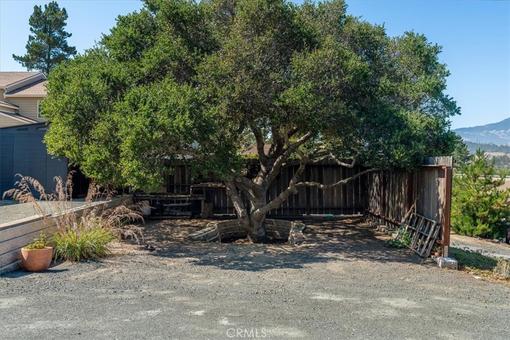 2195 Green Street, Cambria, CA 93428