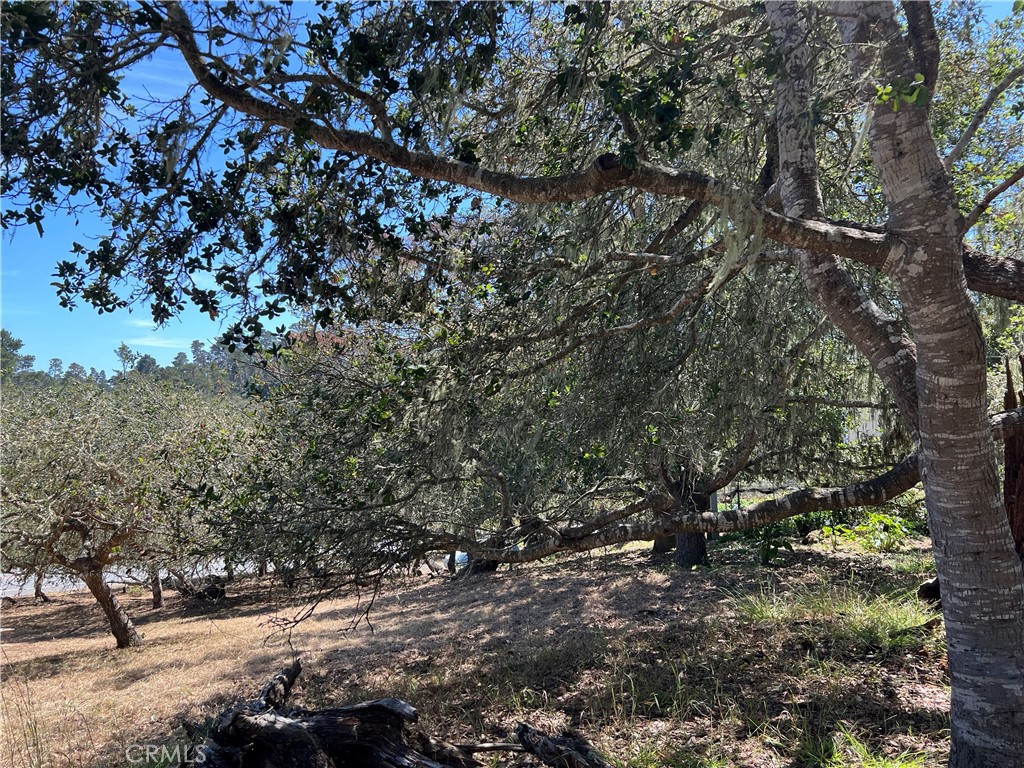 0 Pierce Ave, Cambria, CA 93428