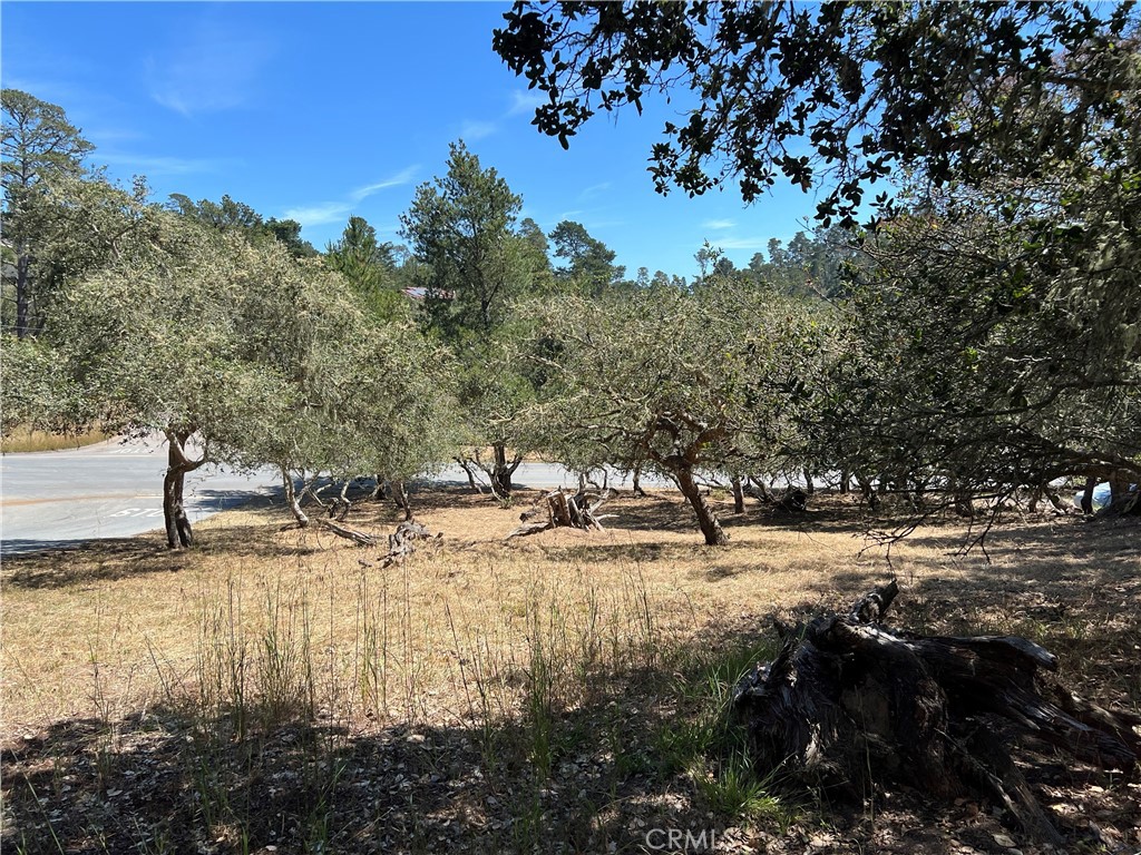 0 Pierce Ave, Cambria, CA 93428
