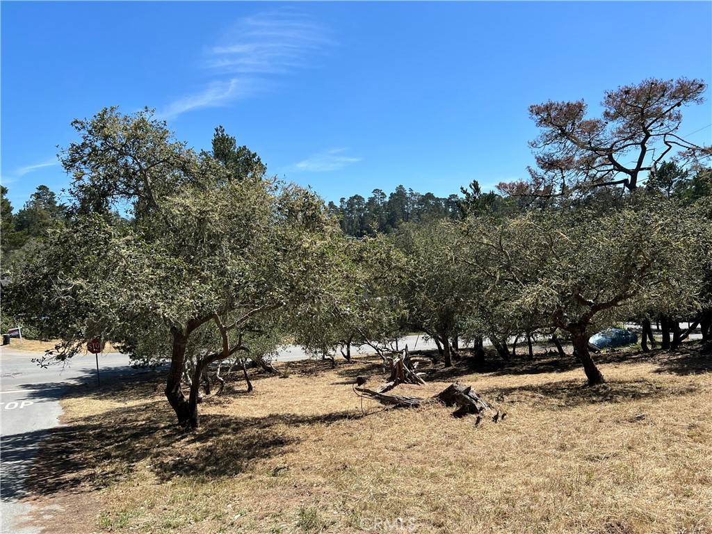 0 Pierce Ave, Cambria, CA 93428
