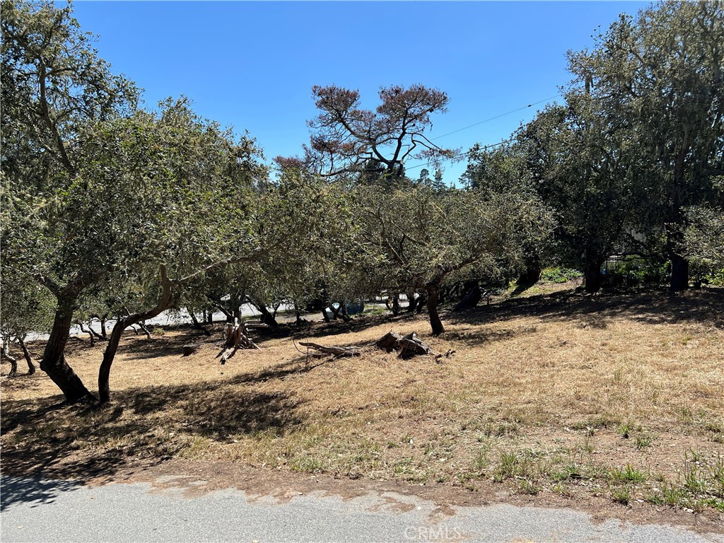 0 Pierce Ave, Cambria, CA 93428