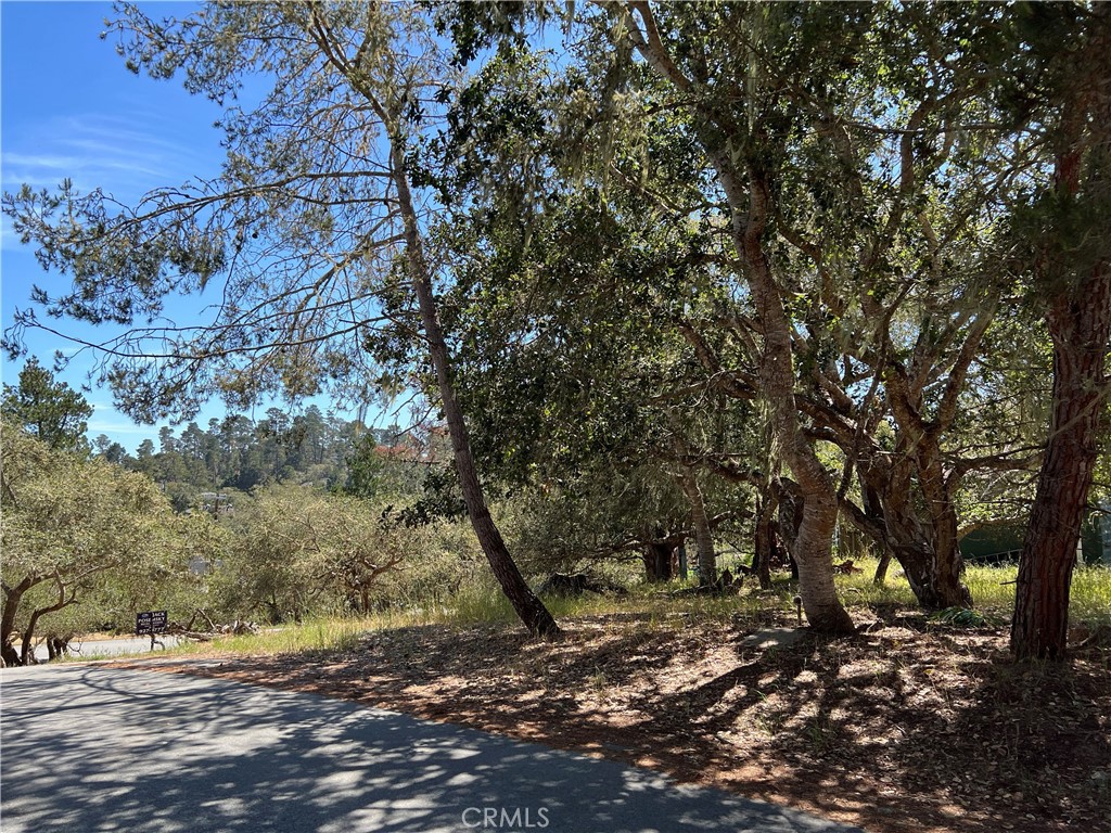0 Pierce Ave, Cambria, CA 93428