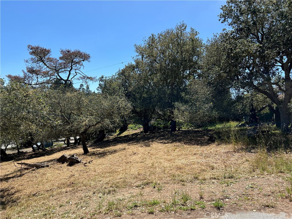 0 Pierce Ave, Cambria, CA 93428