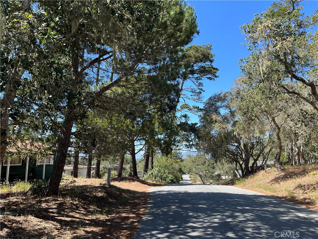 0 Pierce Ave, Cambria, CA 93428
