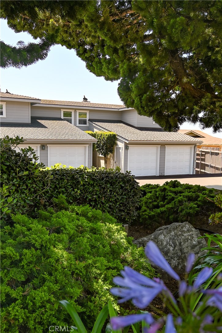 561 Lucerne, Cayucos, CA 93430