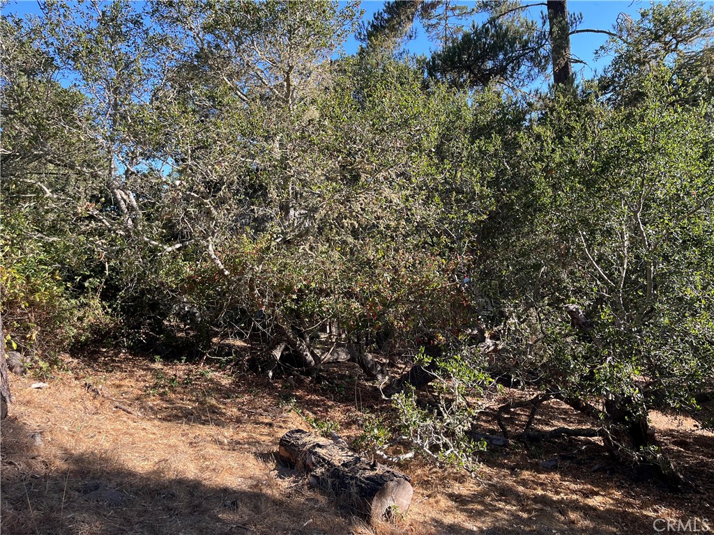 0 Bradford, Cambria, CA 93428