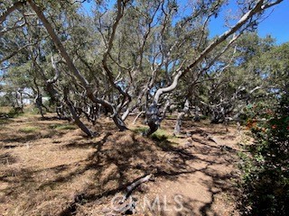 1595 Los Osos Valley #4A, Los Osos, CA 93402