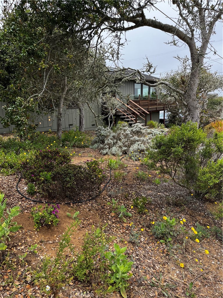 1051 Santa Ysabel Ave, Los Osos, CA 93402