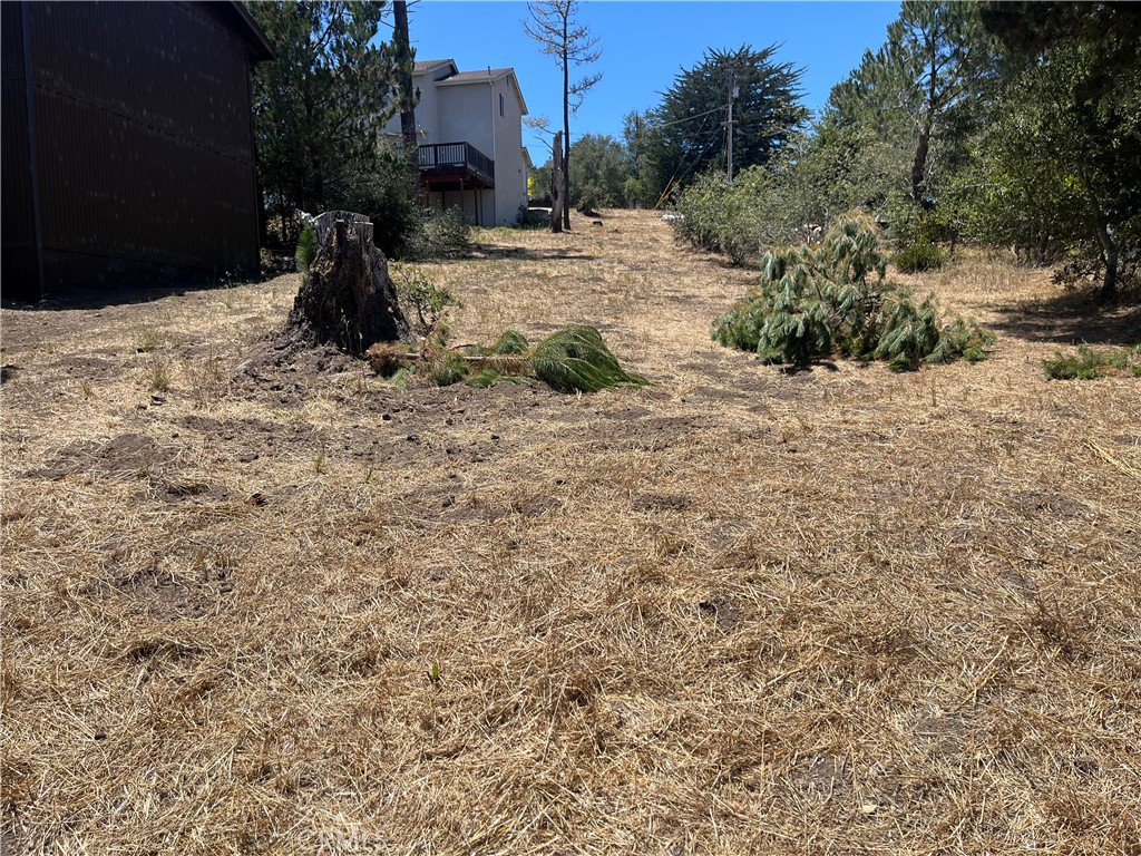1590 Spencer, Cambria, CA 93428