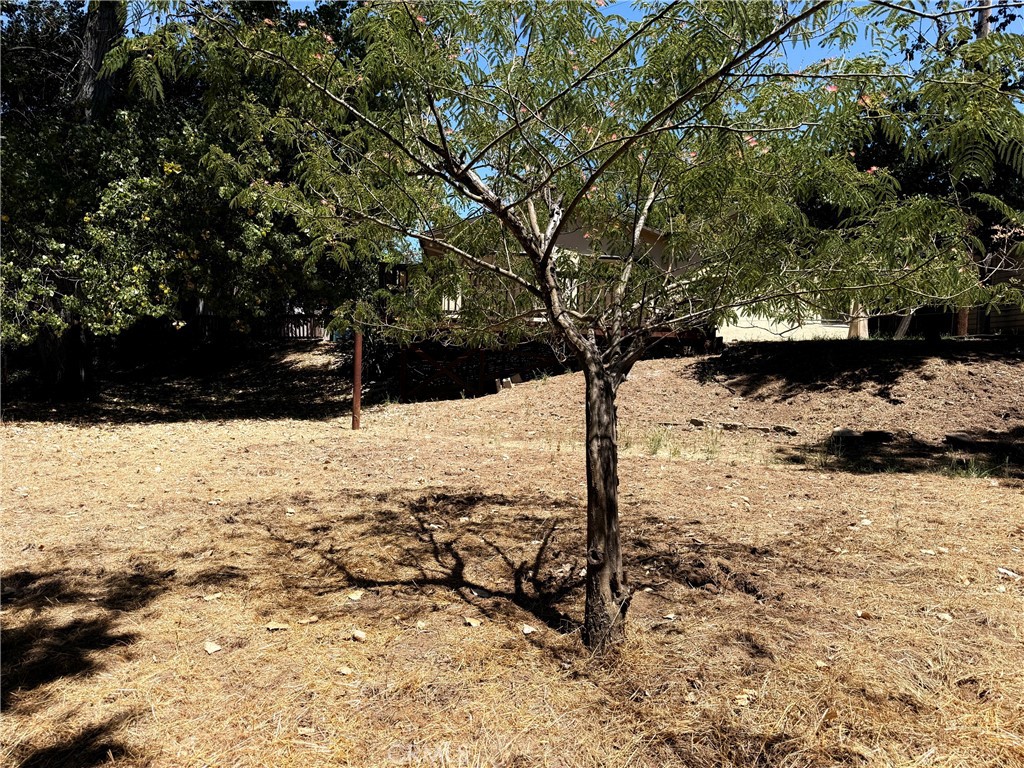 16550 Walnut, Atascadero, CA 93422