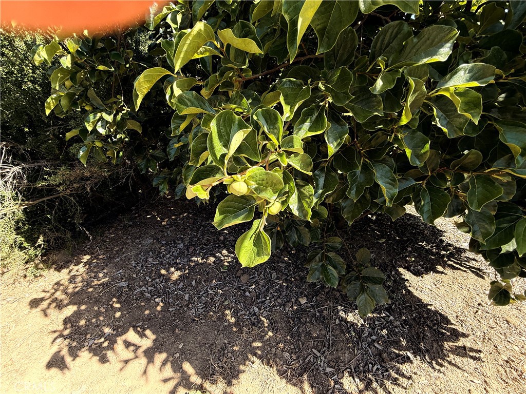 16550 Walnut, Atascadero, CA 93422