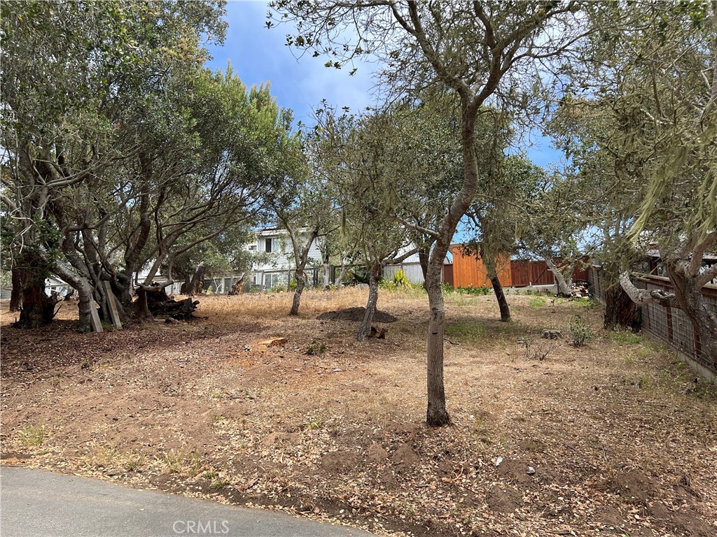 0 Langton, Cambria, CA 93428