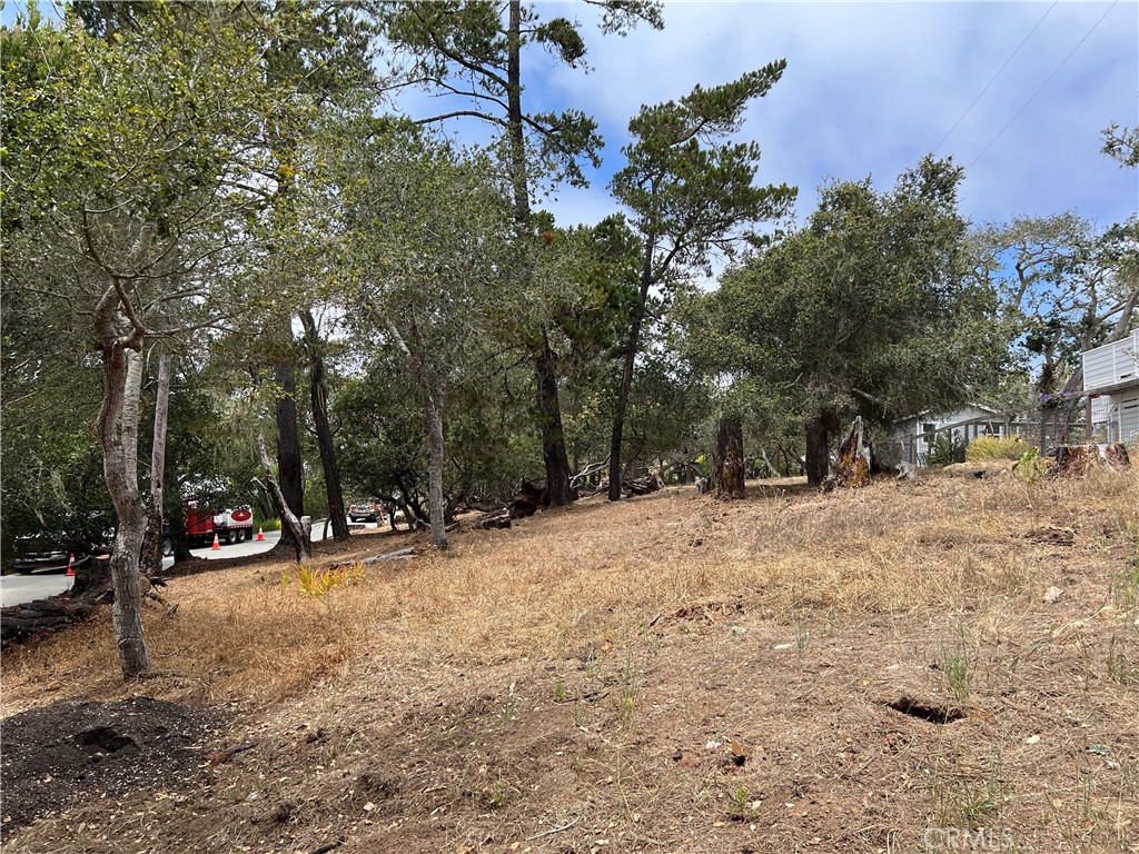 0 Langton, Cambria, CA 93428