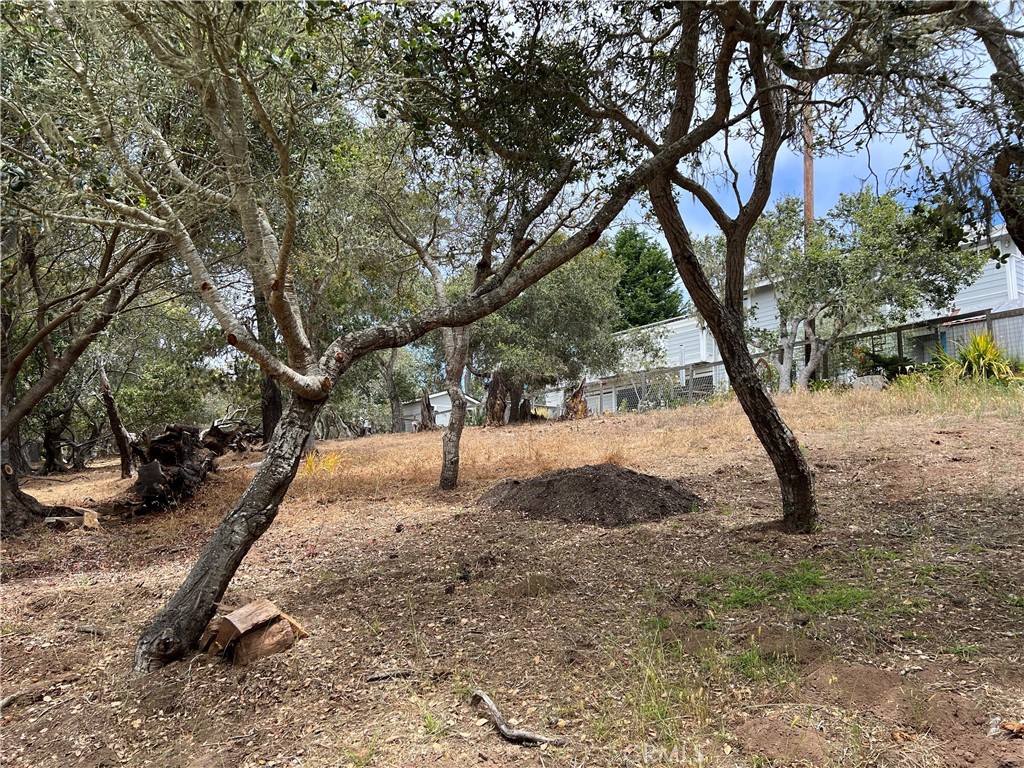 0 Langton, Cambria, CA 93428